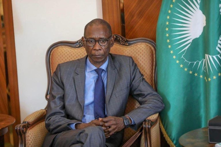 Portrait de Cheikh Niang, nouveau Ministre des Affaires étrangères